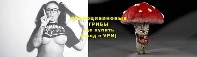 ECSTASY Балахна