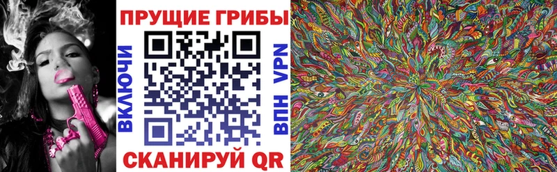 Псилоцибиновые грибы мицелий  Спас-Деменск 